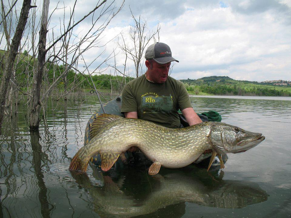 diverse - 378378_337413459620036_137256721_n[1].jpg